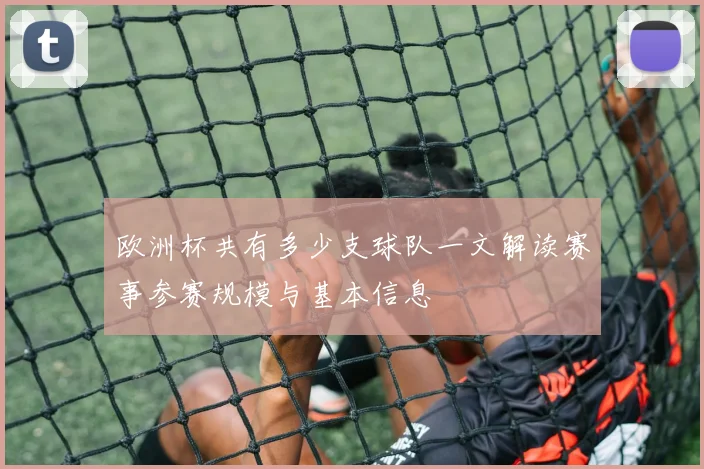 欧洲杯共有多少支球队一文解读赛事参赛规模与基本信息