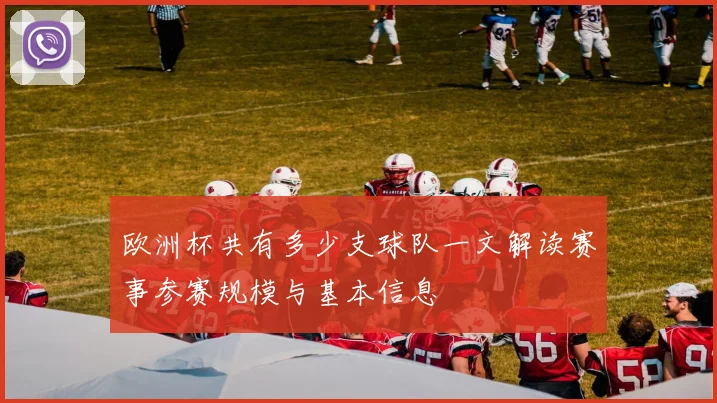 欧洲杯共有多少支球队一文解读赛事参赛规模与基本信息