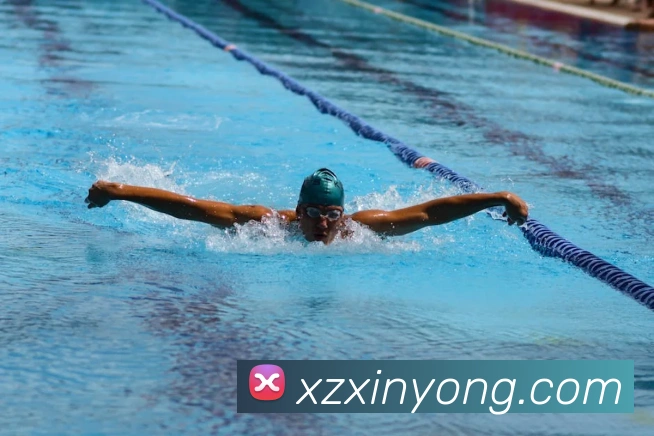 世界杯官方网络平台平台生态图